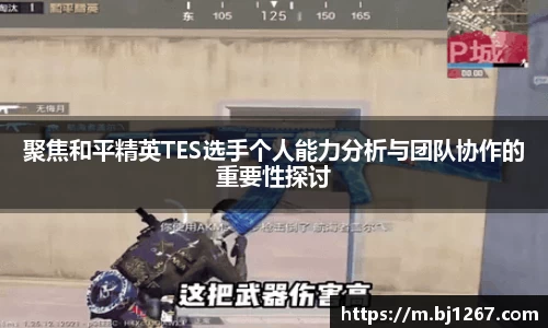 emc易倍官网