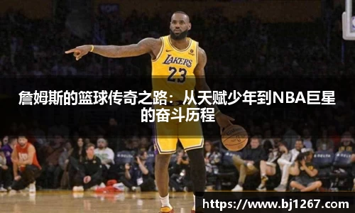 易倍emc官网