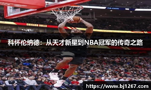 易倍emc官网